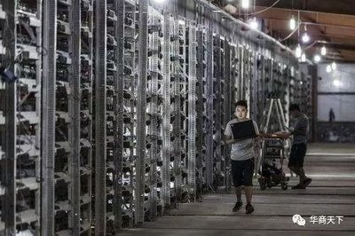 A well-equipped mining farm with multiple ASIC miners