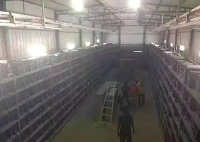 Vast mining farm with hosted rigs