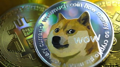 A mining rig focusing on Dogecoin with relevant statistics